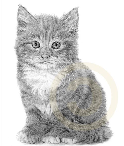Cómo dibujar un gatito: una corta clase magistral