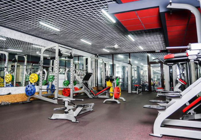 Clubs en Omsk: los mejores centros de fitness