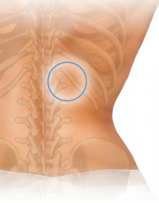 ¿Qué es un bulto en la espalda cerca de la columna vertebral y cómo curarlo?