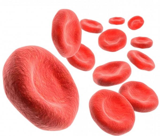 norma de la hemoglobina en la sangre de los niños